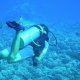 47- Romain imperturbable au milieu des requins 